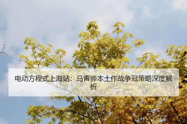 电动方程式上海站：马青骅本土作战争冠策略深度解析
