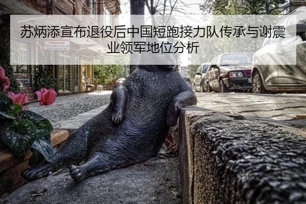 su-bing-tian-xuan-bu-tui-yi-hou-zhong-guo-duan-pao-jie-li-dui-chuan-cheng-yu-xie-zhen-ye-ling-jun-di-wei-fen-xi-3-402.jpg